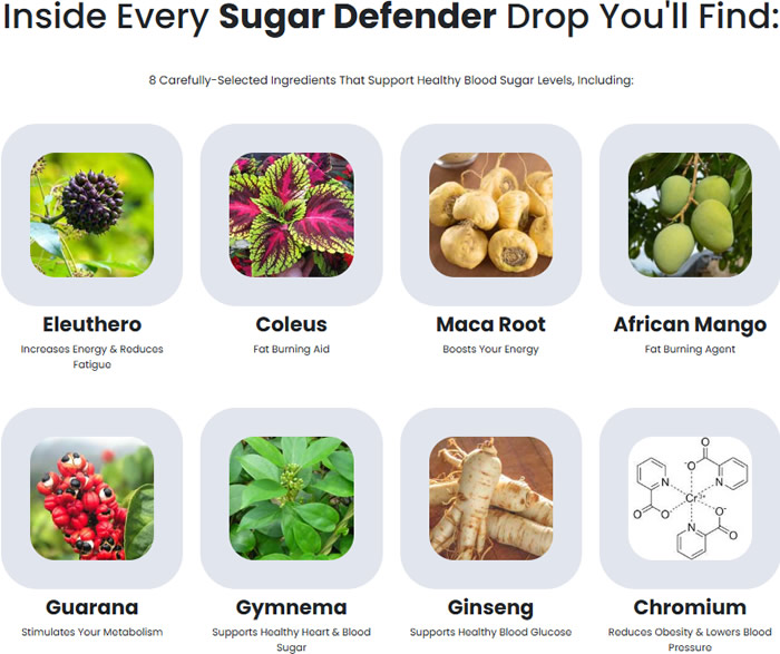 Sugar Defender 24 Reviews and Complaints: Real Side Effects & Must-Read Insights